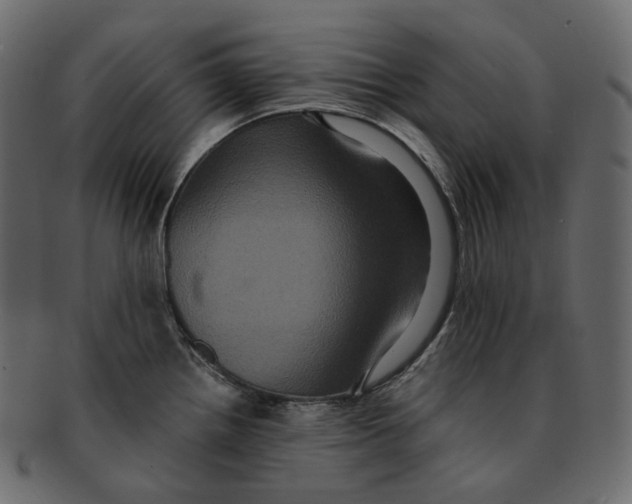 X0000091941242200710031111