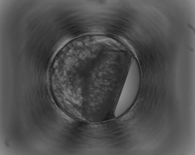 X0000091941243200710031111