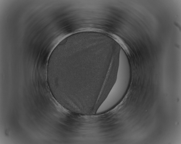 X0000091941244200710031112