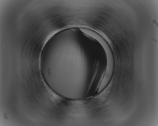 X0000091941246200710031112