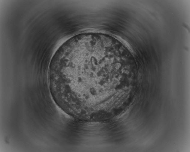 X0000091941247200710031112