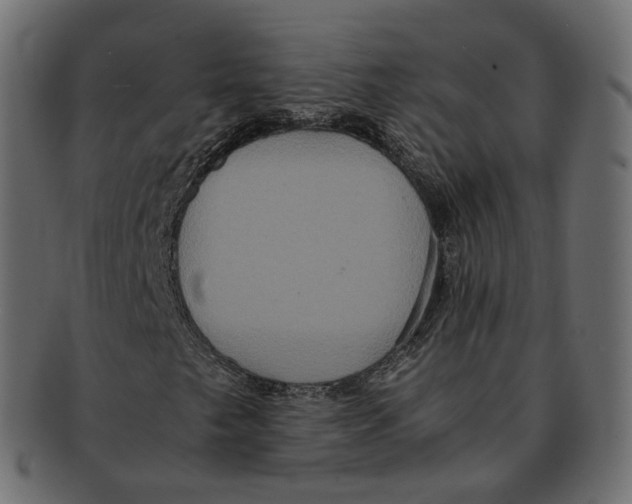 X0000091941249200710031111