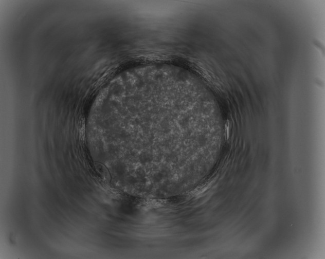 X0000091941251200710031111