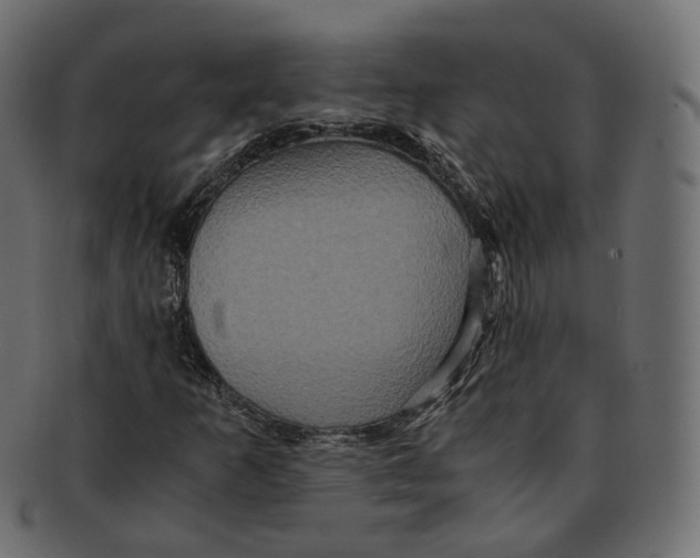 X0000091941253200710031111