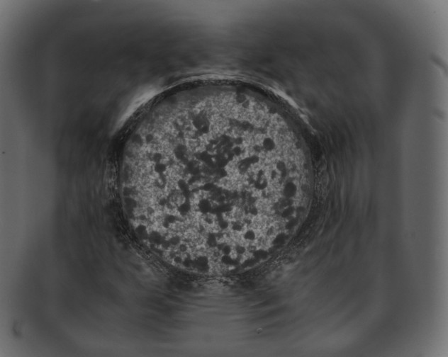 X0000091941255200710031111