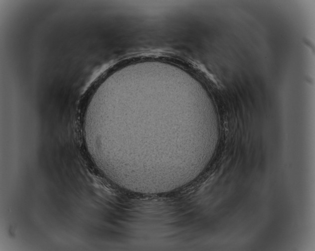 X0000091941256200710031111