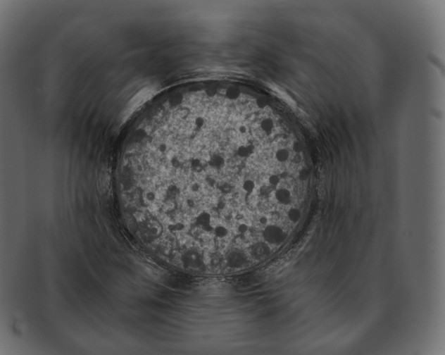 X0000091941259200710031111