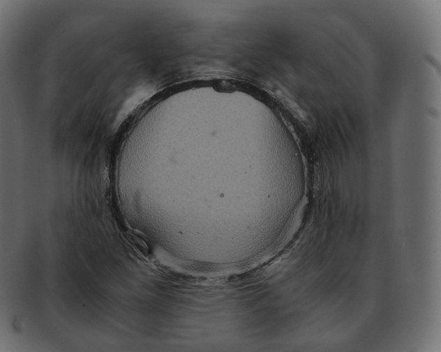 X0000091941261200710031111