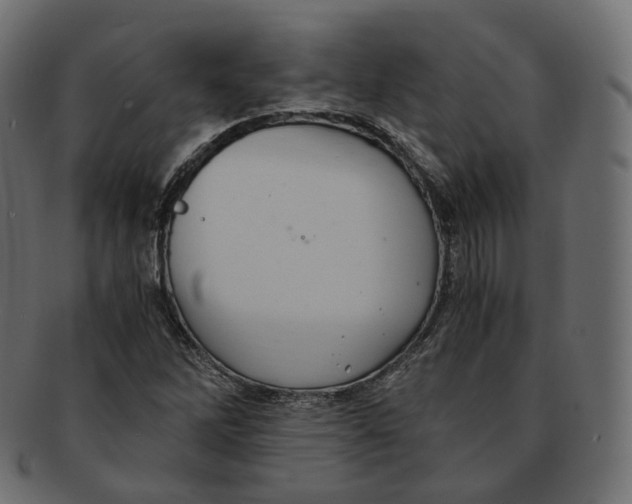 X0000091941262200710031111