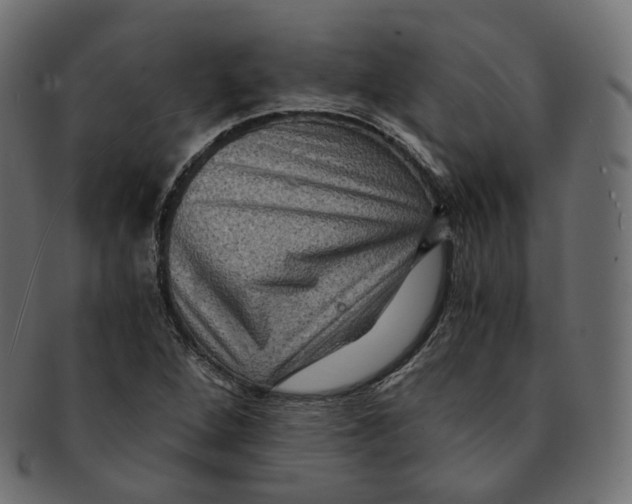 X0000091941264200710031111