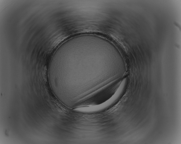 X0000091941265200710031111