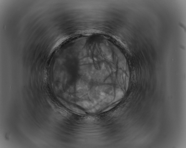 X0000091941266200710031111