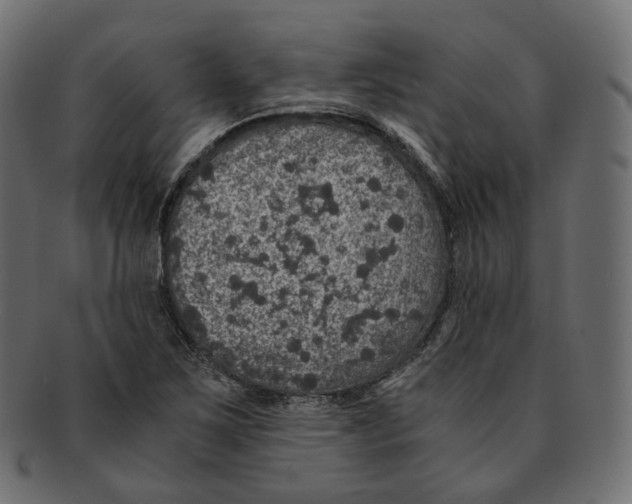 X0000091941267200710031111