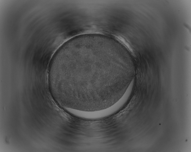 X0000091941268200710031111