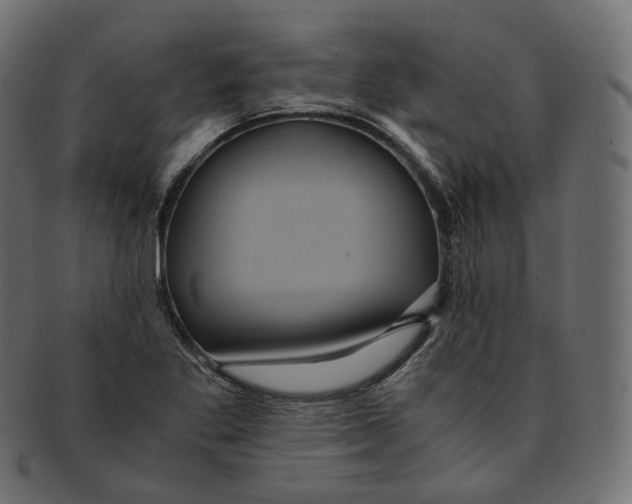 X0000091941269200710031111