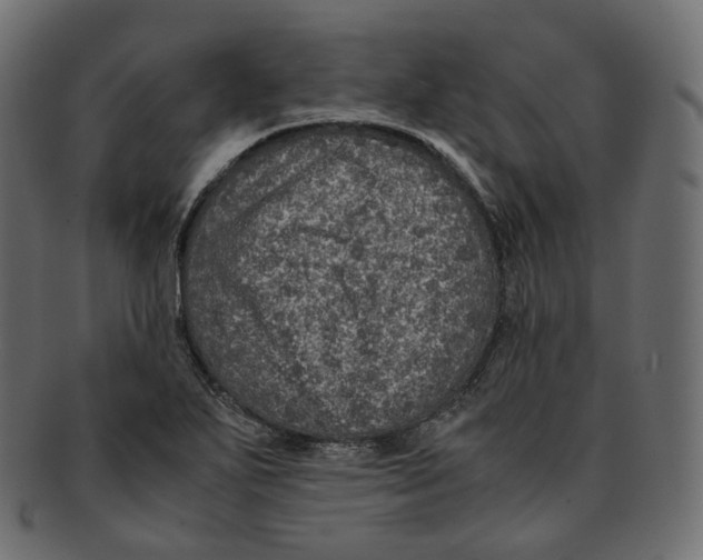 X0000091941271200710031111