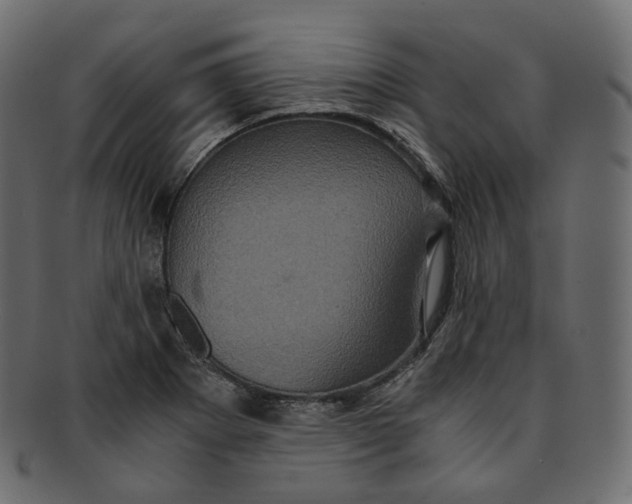 X0000091941273200710031111