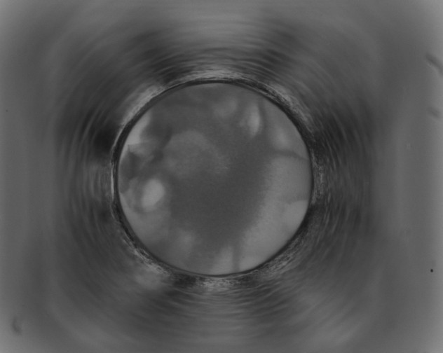 X0000091941274200710031111