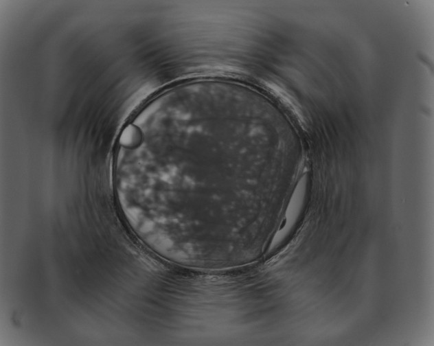 X0000091941275200710031111