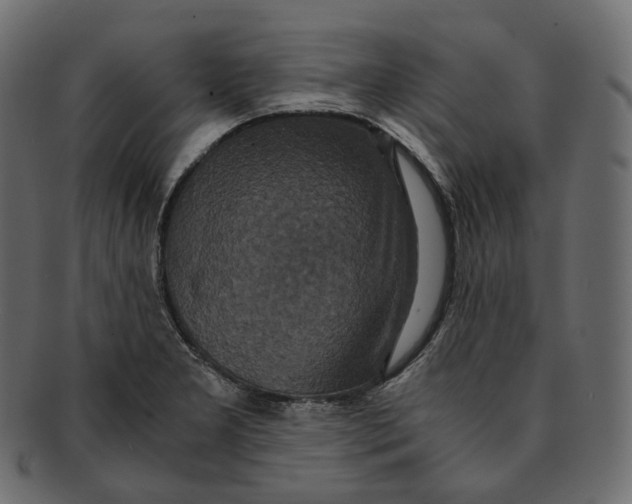 X0000091941277200710031111