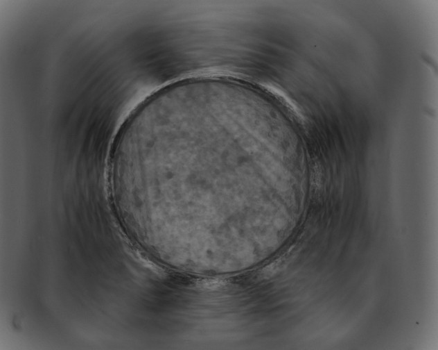 X0000091941278200710031111