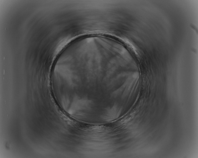 X0000091941279200710031111