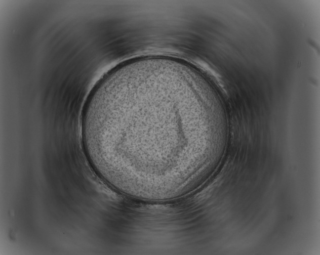 X0000091941280200710031111