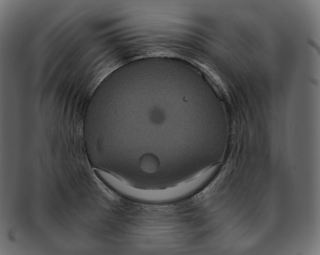 X0000091941281200710031111