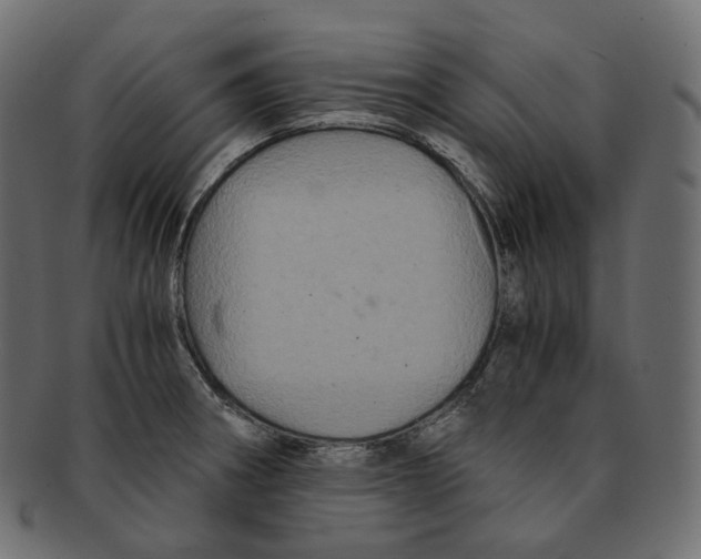 X0000091941282200710031111