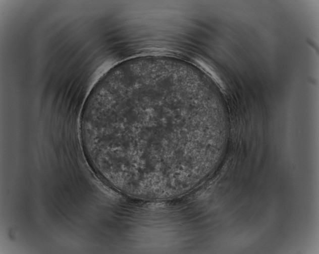 X0000091941283200710031111