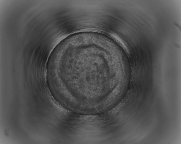 X0000091941284200710031111