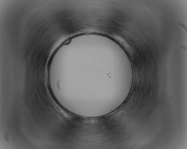 X0000091941286200710031111