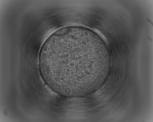 X0000091941287200710031111