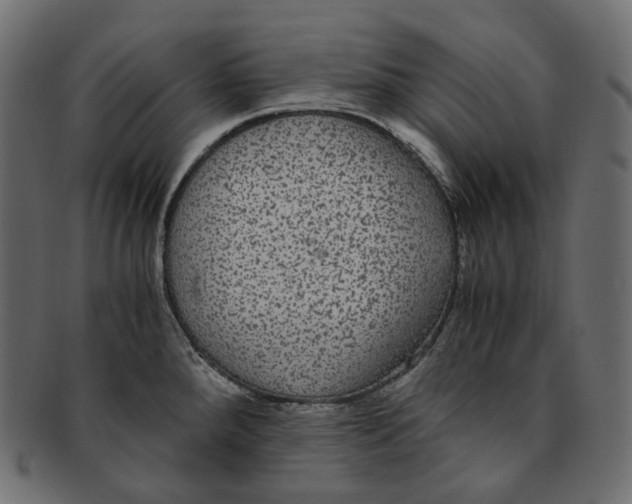 X0000091941288200710031111