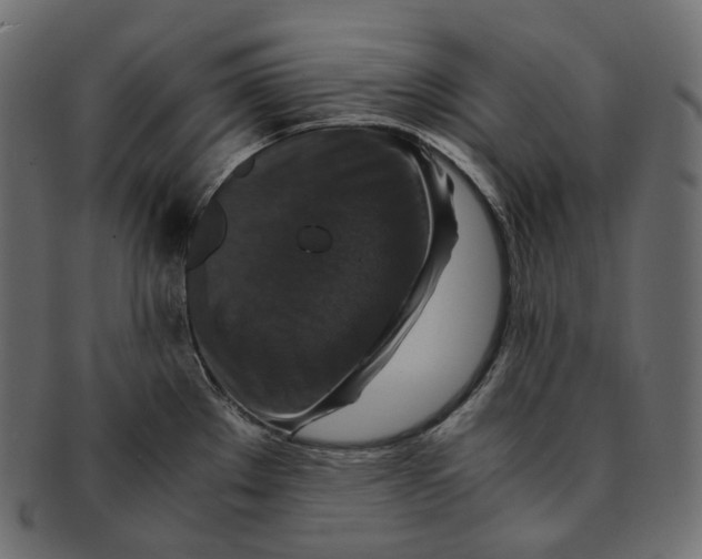 X0000091941289200710031111