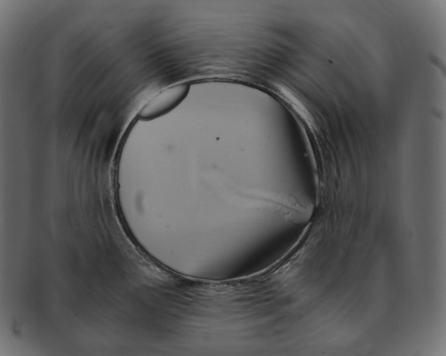 X0000091941291200710031110