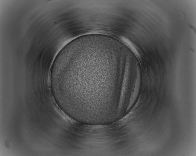 X0000091941292200710031110