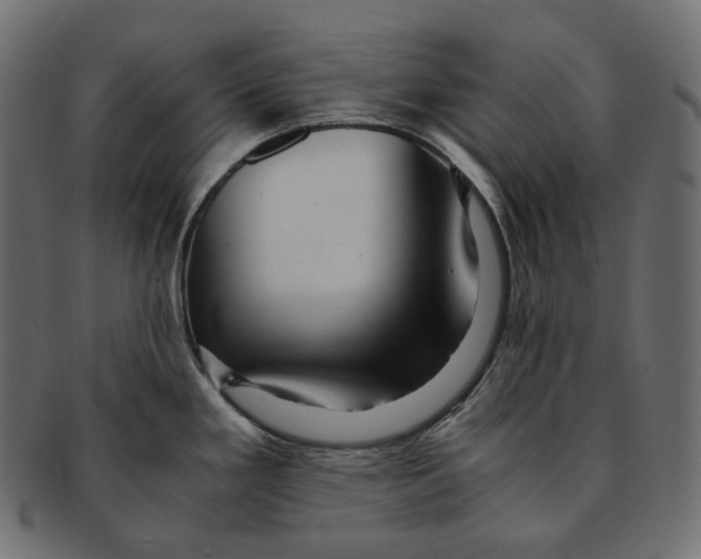 X0000091941293200710031110