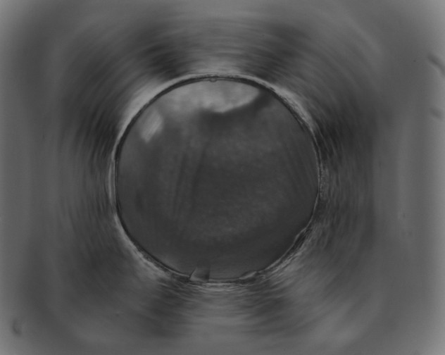 X0000091941295200710031110