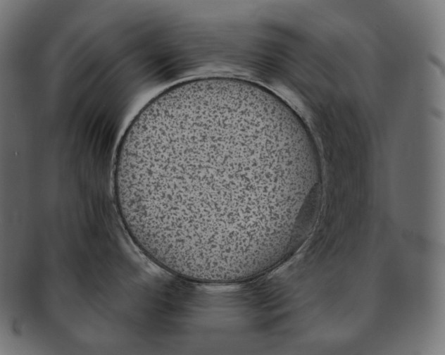 X0000091941296200710031110