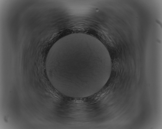 X0000091941297200710031110