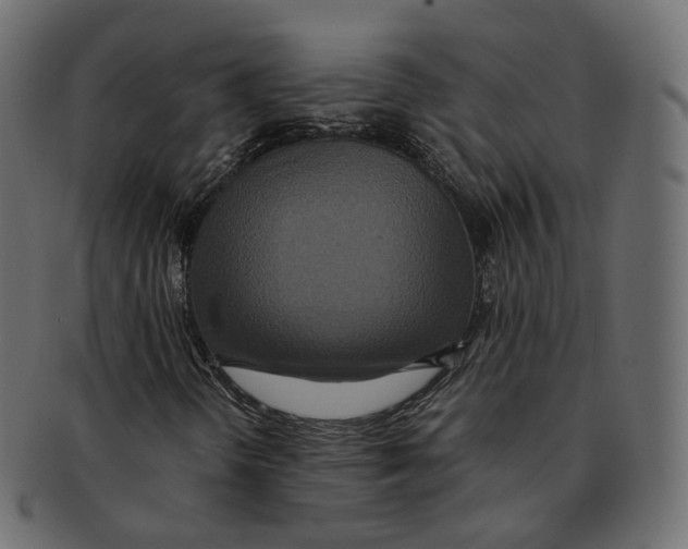 X0000091941298200710031110