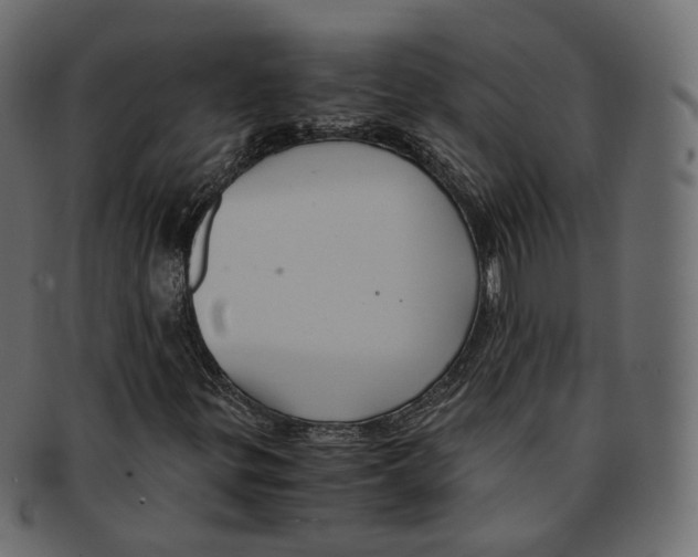 X0000091941299200710031110