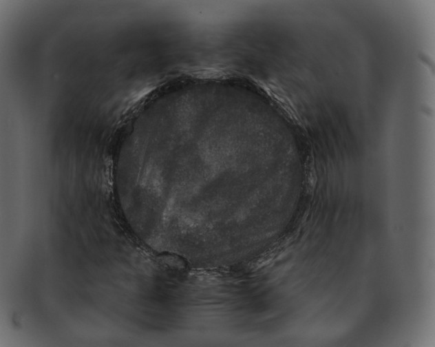 X0000091941301200710031110