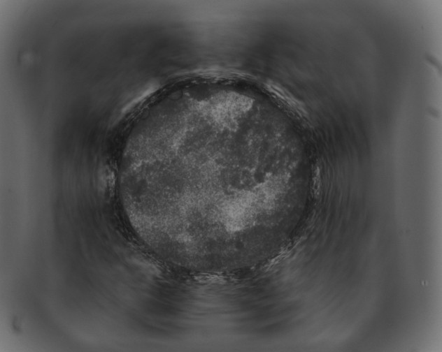 X0000091941302200710031110