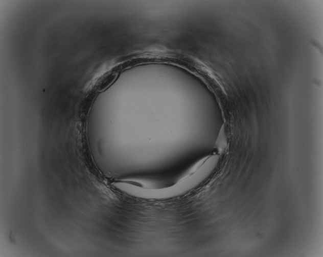 X0000091941304200710031110