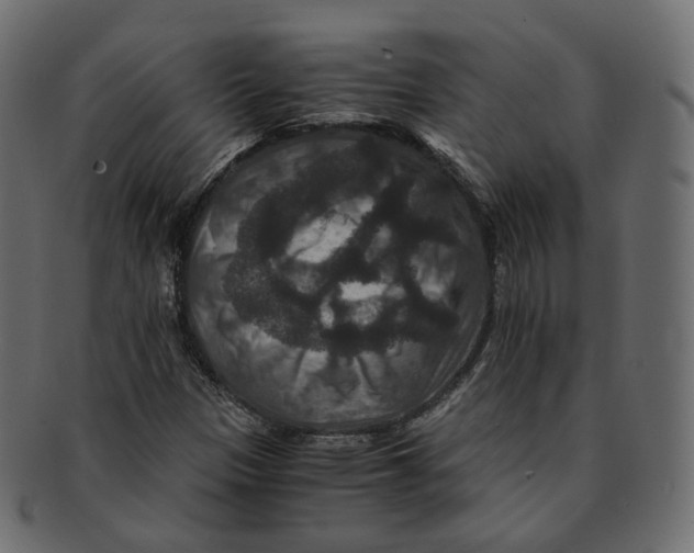 X0000091941305200710031110