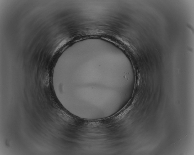 X0000091941306200710031110