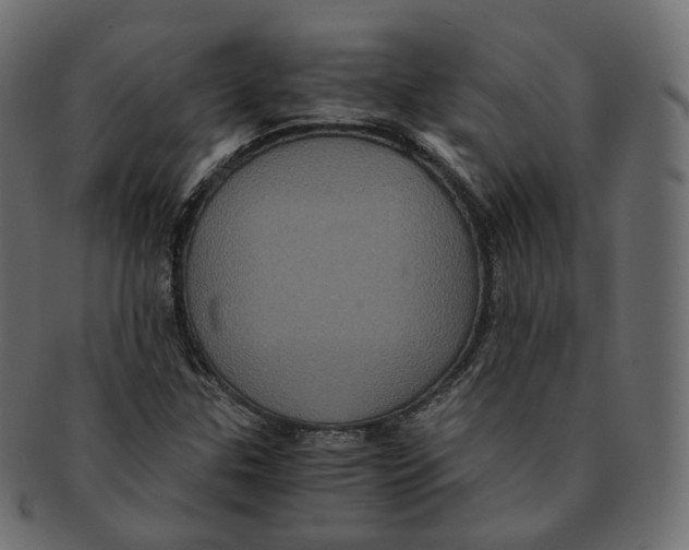 X0000091941307200710031110