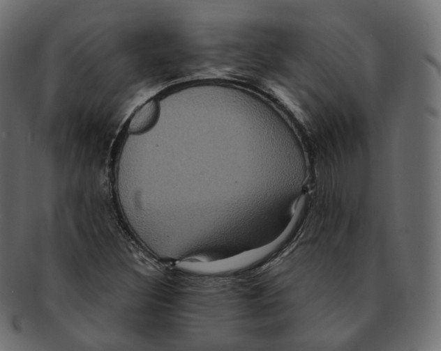 X0000091941308200710031110